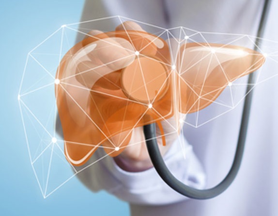 آنزیم های کبدی 